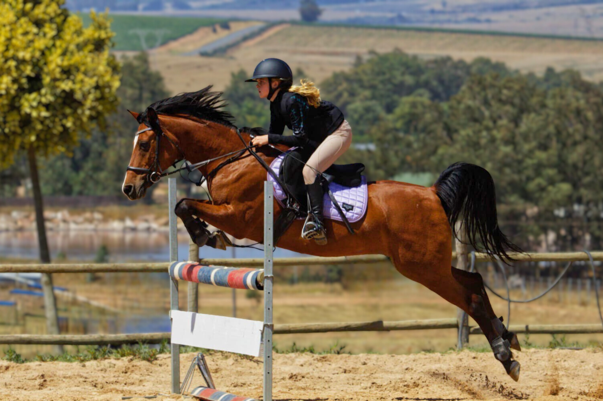 Riding lessons