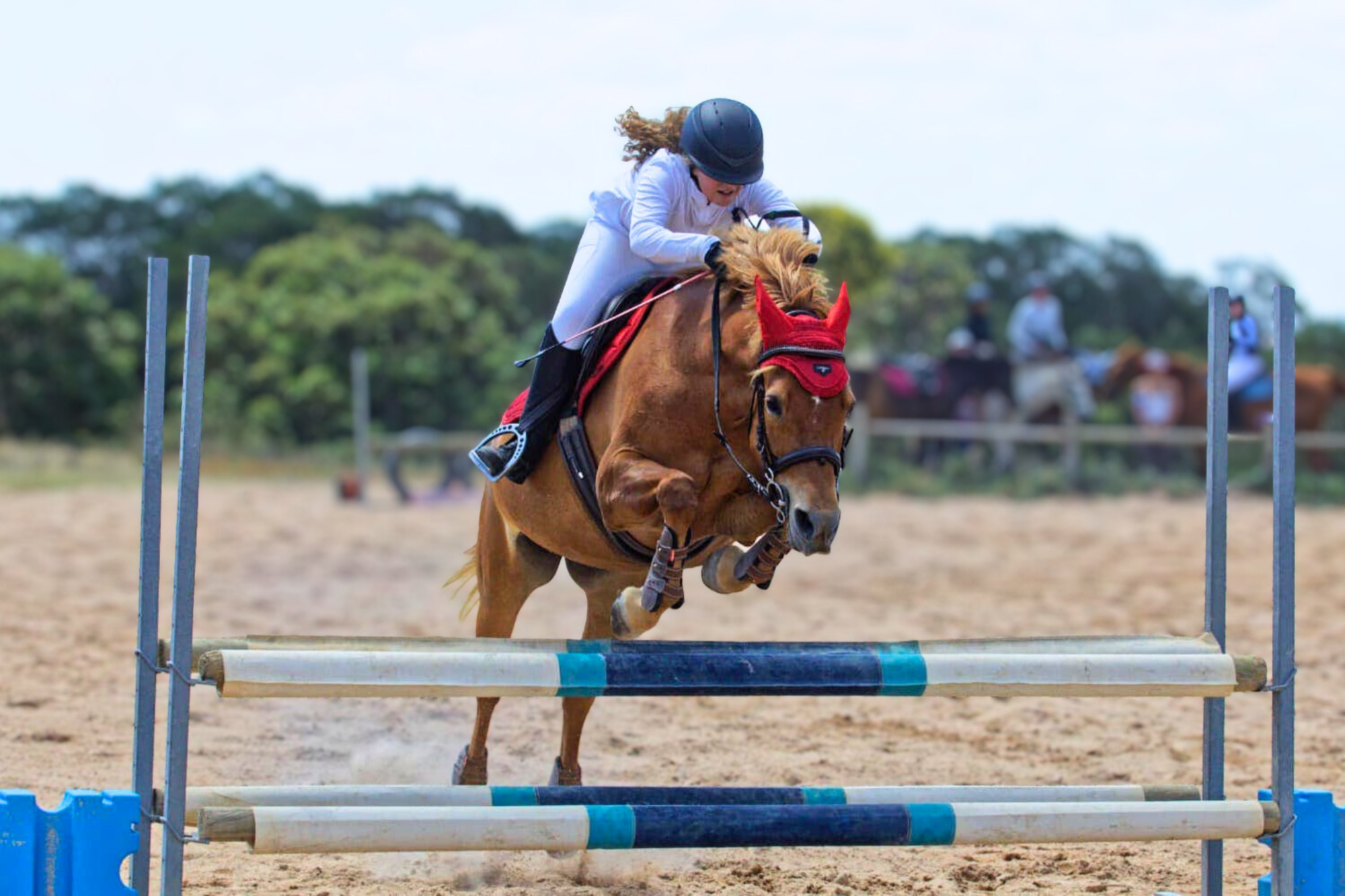 Group riding lesson