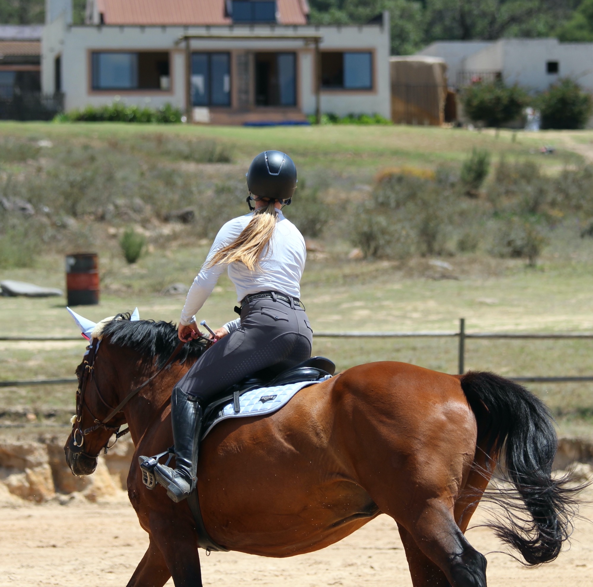 Life at Rivendale
