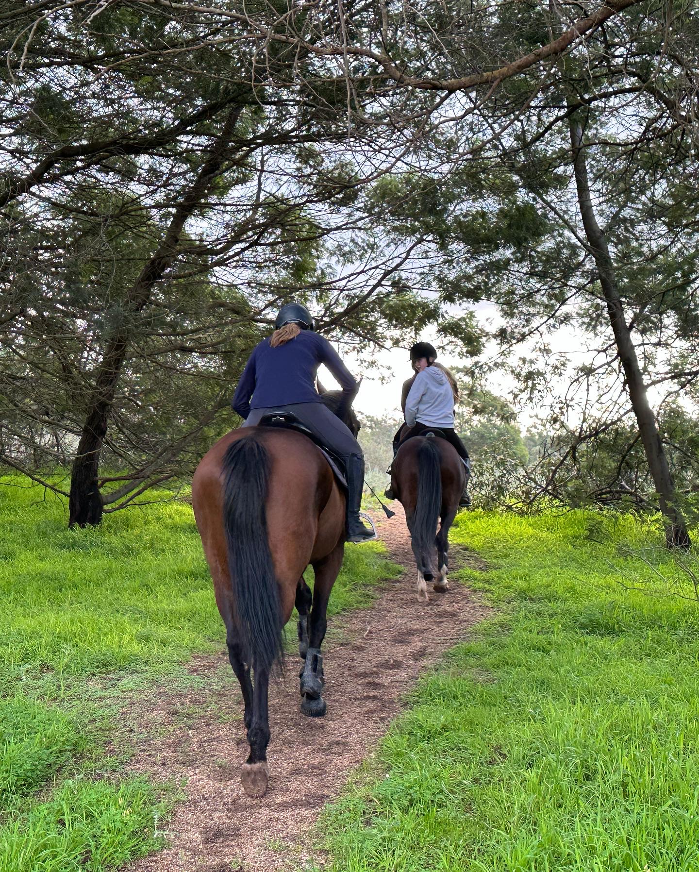 Rider at Rivendale