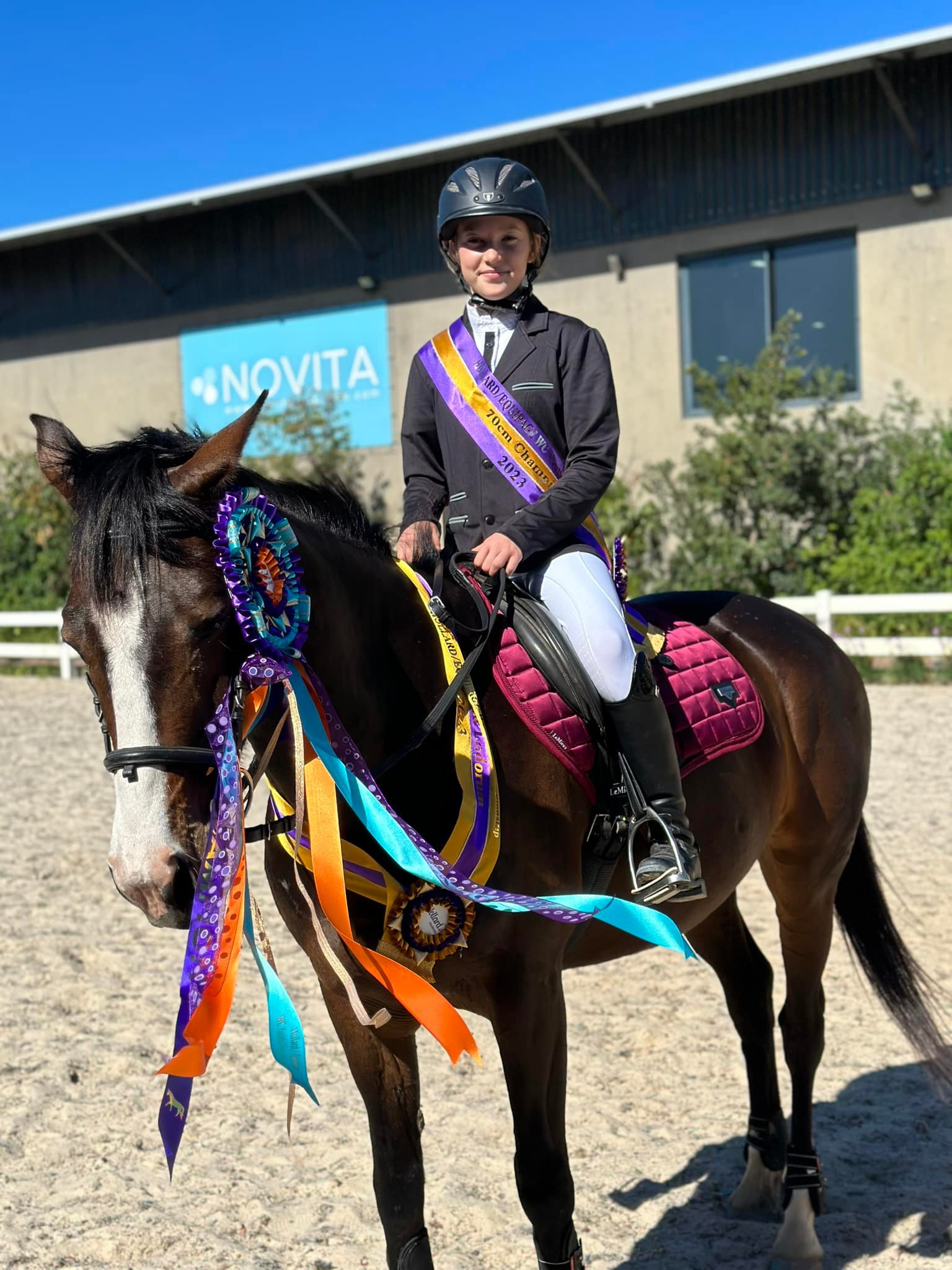 Ribbons and rosettes