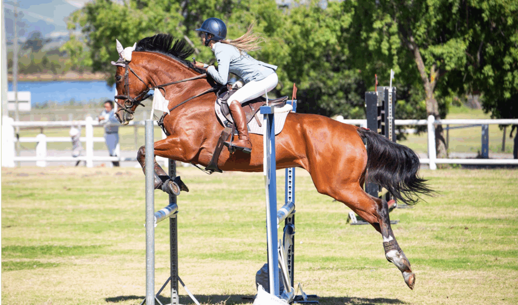 467497104_10161774973440309_5629873492901705018_n 1